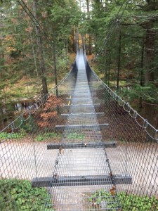Leadershipbridge